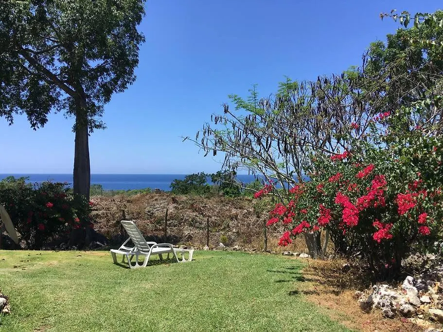 Little Cottage In Negril West End Appartamento