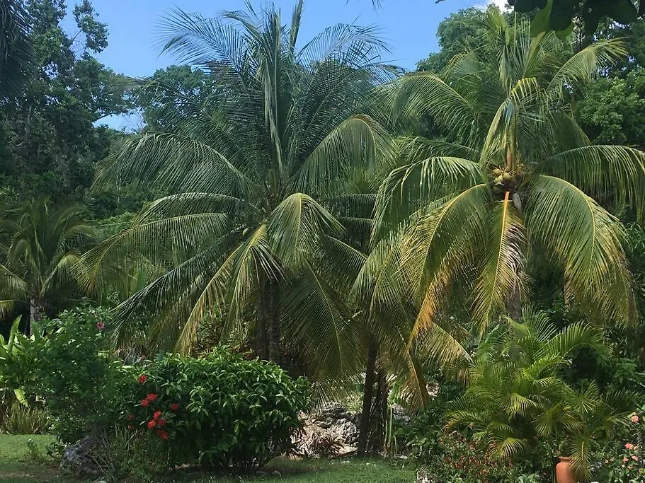 Little Cottage In Negril West End